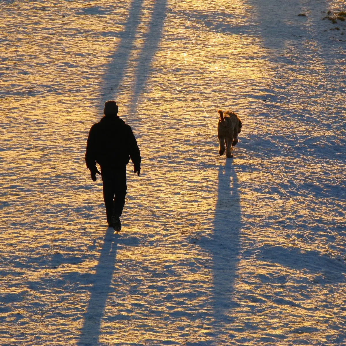 Isar auf und ab im Dezember 2008