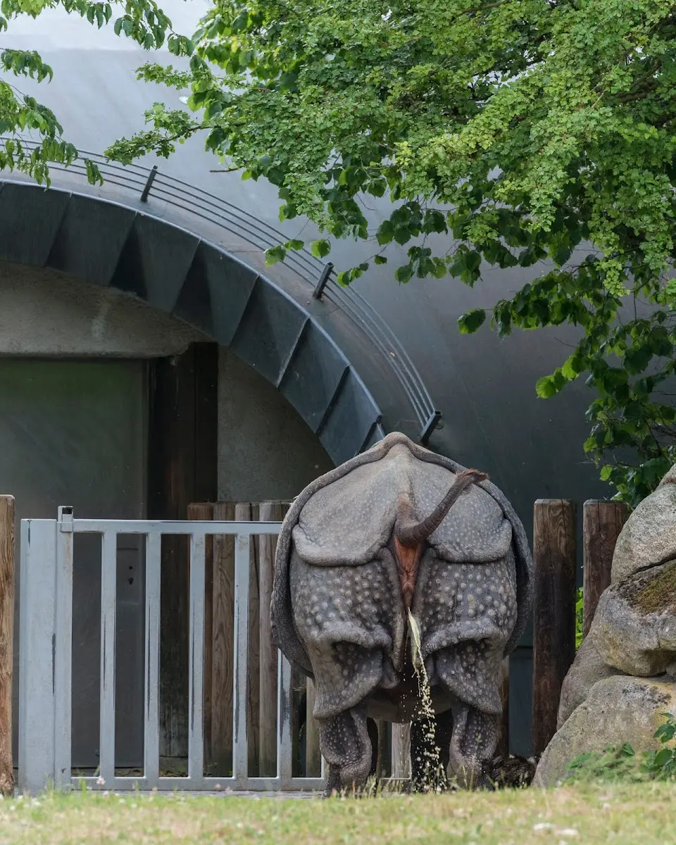 Tierpark Hellabrunn