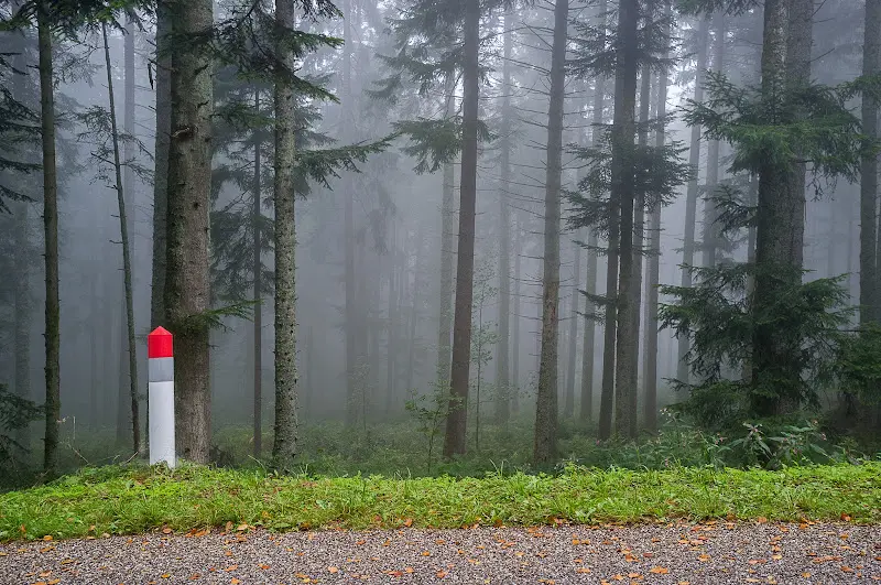 Von Karlsruhe nach Konstanz - Vogesen, Rhein und Bodensee 2013