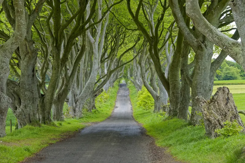 Ireland - A Ferry Tale