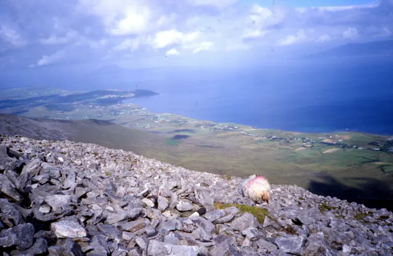 Irland 2000